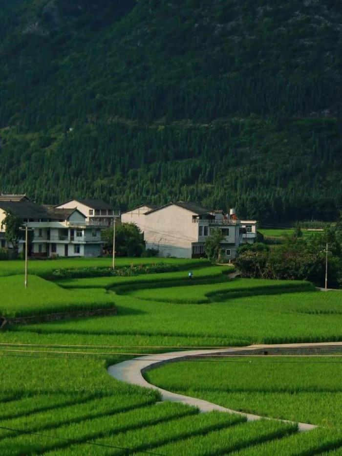 被封“中國最美”，全國唯一沒有平原的貴州省，每處山水都封神！