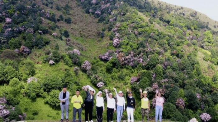 不到雞籠頂，枉為廣東人！原來，中國絕美的高山草原杜鵑花海在這里