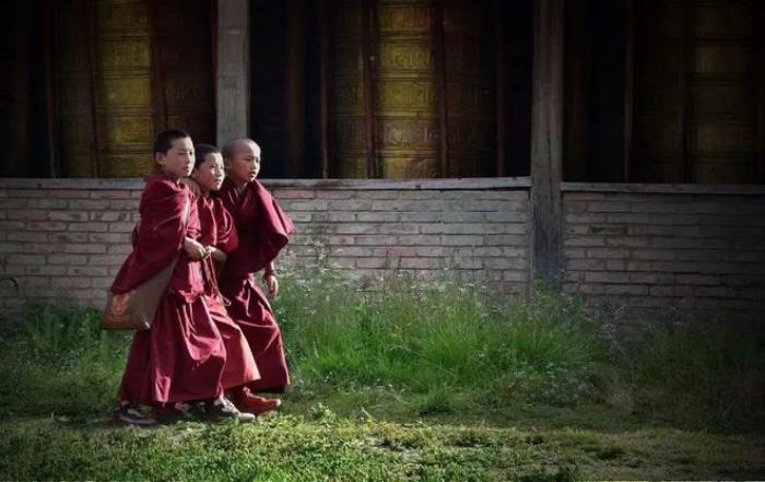 遇見甘南草原、黃河濕地、安多藏族風(fēng)情