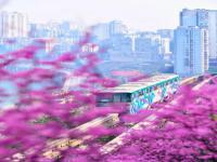 “開往春天的列車”美上央視! 比成都秀美 這座老城你去過嗎？
