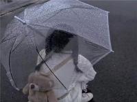 仙桃商務(wù)伴游幼師帛琬綺